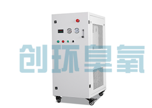 永清石斑鱼养殖水质调控完整指南:臭氧发生器配置与操作步骤