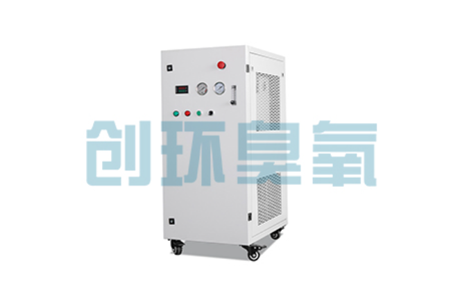 永清比传统换水更高效?臭氧发生器在石斑鱼养殖中的水质净化原理解析